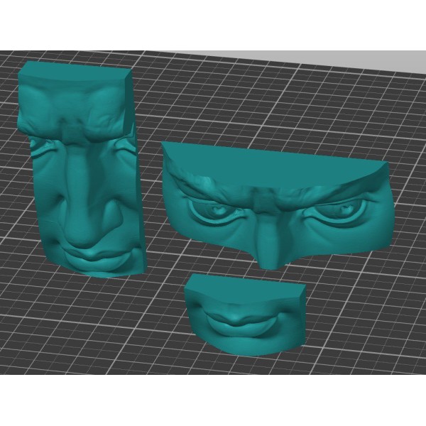 3D модели отдельно губ, носа, глаз статуи Давида от Микеланджело